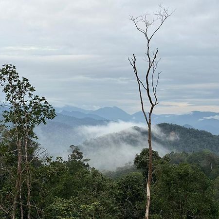 Misty At Fraser'S Hill Fraser Hill Luaran gambar