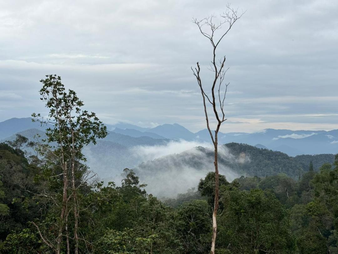 Misty At Fraser'S Hill Fraser Hill Luaran gambar